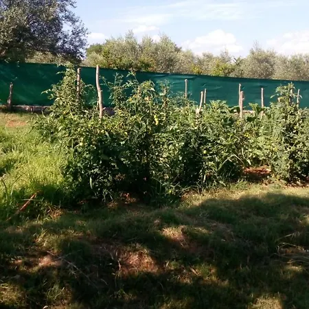 Stanzia Santa Brigida רוביני